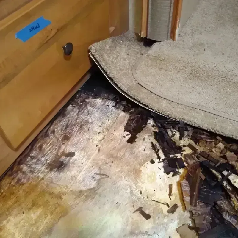 Best Wood Floor Water Damage Service in Huntington Woods, MI